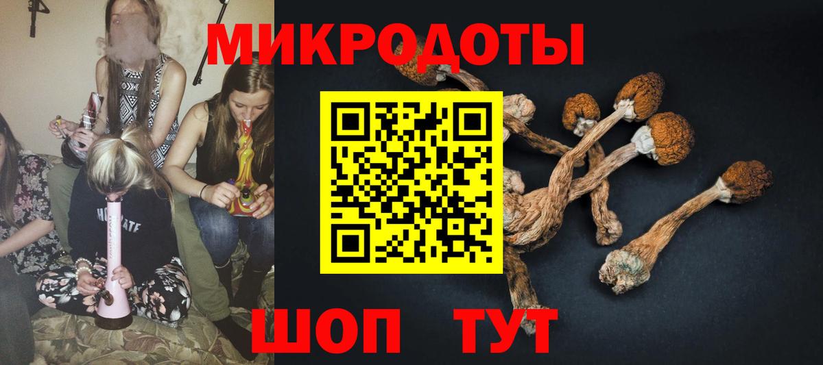 Псилоцибиновые грибы Magic Shrooms  Вход с VPN  Партизанск 