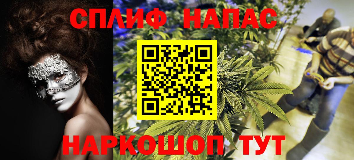 Конопля Bruce Banner Партизанск